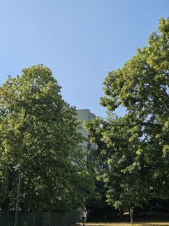 Veszprémi Apartman12