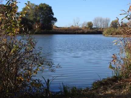 Vizitündér Pihenőpark1