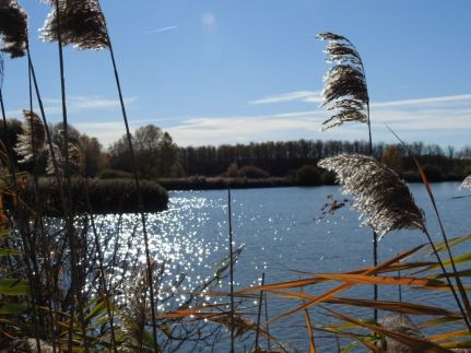 Vizitündér Pihenőpark4