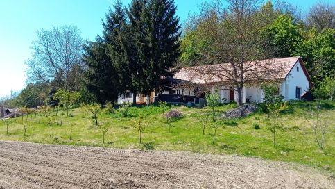 Aranyhaj világa Apartman2
