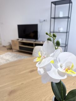 Sarah Doe Apartman4