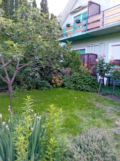 Jana Green Apartman2