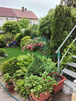 Hársfa Apartman9