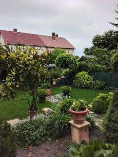 Hársfa Apartman8