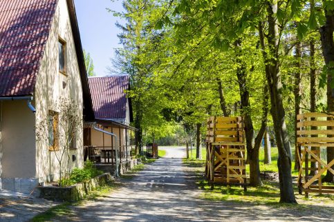 Longi Öregnyár9