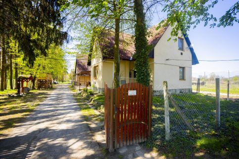 Longi Öregnyár5