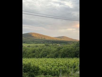 Mona-Lak Balaton Panorama3