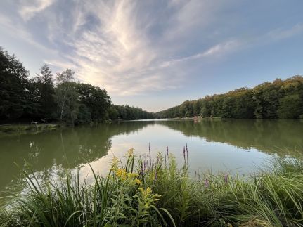 Őrségi Vadása Panzió – Hegyhátszentjakab fotó 36