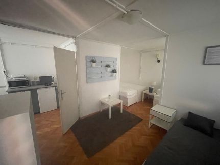 Mókus pagony 2.015