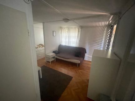 Mókus pagony 2.020