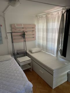 Mókus pagony 2.04