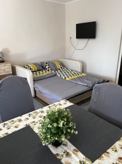 Nyárfa Vendégház – Tiszavasvári fotó 9