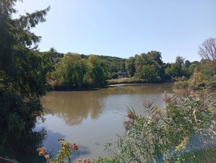 M&M Vendégház – Esztergom fotó 14