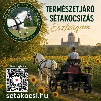 M&M Vendégház – Esztergom fotó 16
