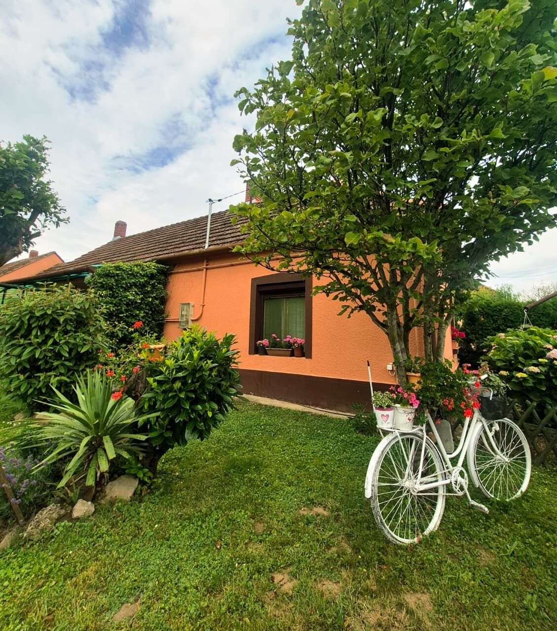 Erzsébet Apartman – Sármellék fotó 1