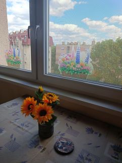 Móra Corner Apartman – Mezőkövesd fotó 21