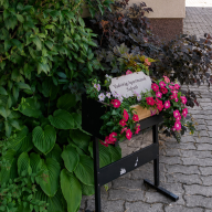 Vadvirág Apartmanok – Balatonszárszó