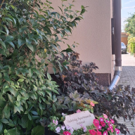 Vadvirág Apartmanok – Balatonszárszó