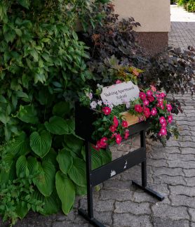 Vadvirág Apartmanok – Balatonszárszó