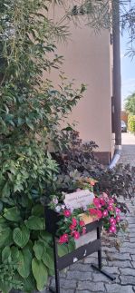 Vadvirág Apartmanok – Balatonszárszó