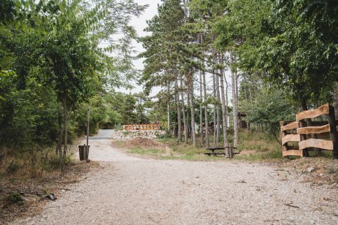 Vityilló – Szomód fotó 9