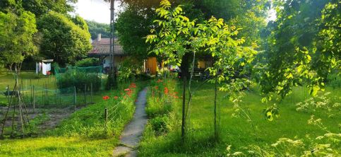 Bükki Park Apartman – Sály fotó 9
