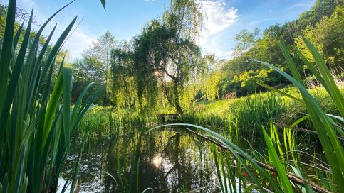 Bükki Park Apartman – Sály fotó 2