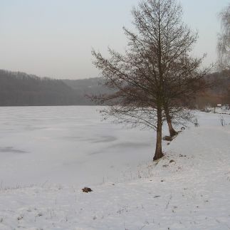 Wellness Vendégház Kovácsszénája – Kovácsszénája fotó 19