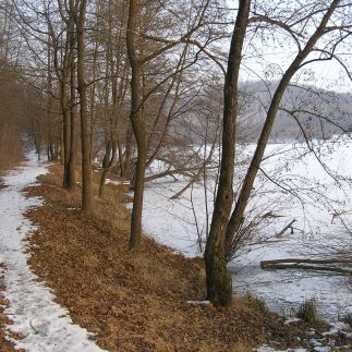 Wellness Vendégház Kovácsszénája – Kovácsszénája fotó 20