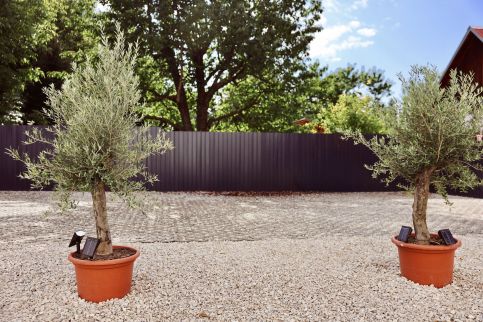 SafeHouse Apartments – Balatonboglár fotó 4