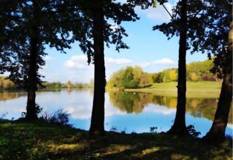 Jakabhegy Vendégház-Szennai – Szenna fotó 15