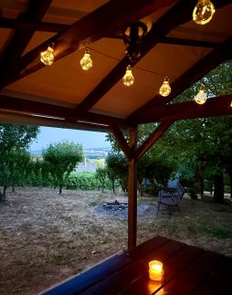 Vinea Apartman – Vindornyaszőlős fotó 2
