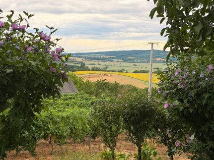 Vinea Apartman – Vindornyaszőlős fotó 20
