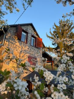Vinea Apartman – Vindornyaszőlős fotó 22