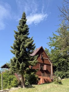 Fenyveshegyi Házikó – Verőce