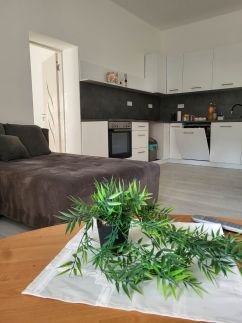 Pacsirta Apartman – Orosháza fotó 5