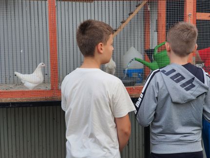 Körös-Sárréti Vendégház és Túrapont Vésztő – Vésztő fotó 66