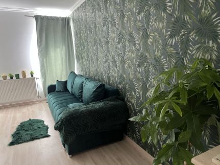 Picúr és Manó Apartmanjai – Baja fotó 9