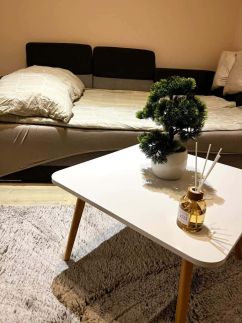 Lini Home Apartman – Szeged fotó 8