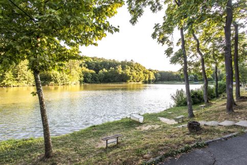Rókaland Vendégház – Sikonda fotó 31