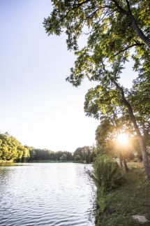 Rókaland Vendégház – Sikonda fotó 33