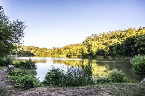 Rókaland Vendégház – Sikonda fotó 34