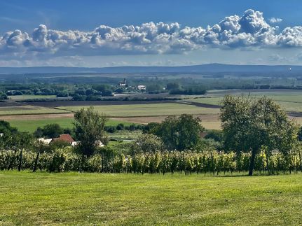 GRAPPA Somló - Goldhill  Vineyard Lodges – Somlóvásárhely fotó 11