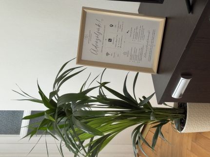 Anyuci Csillaga Apartman – Eger fotó 36