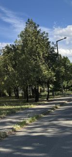 Anyuci Csillaga Apartman – Eger fotó 12