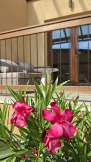 Vackorlak Apartman – Balatonszőlős fotó 6