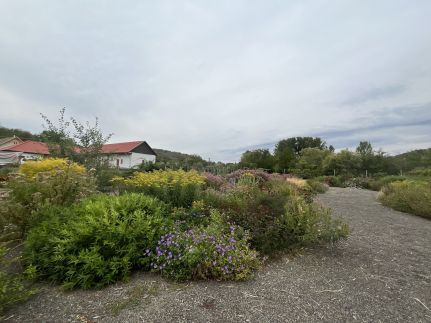 Béri Birtok – Bér fotó 26