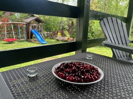 Faház - Nyaraló a Tiszánál – Tiszacsege fotó 6