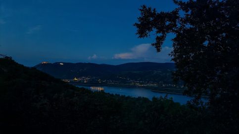 Driád Erdei Vendégház – Nagymaros fotó 5