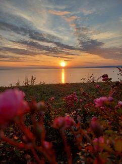SirályLak Vendégház – Balatonakarattya fotó 5